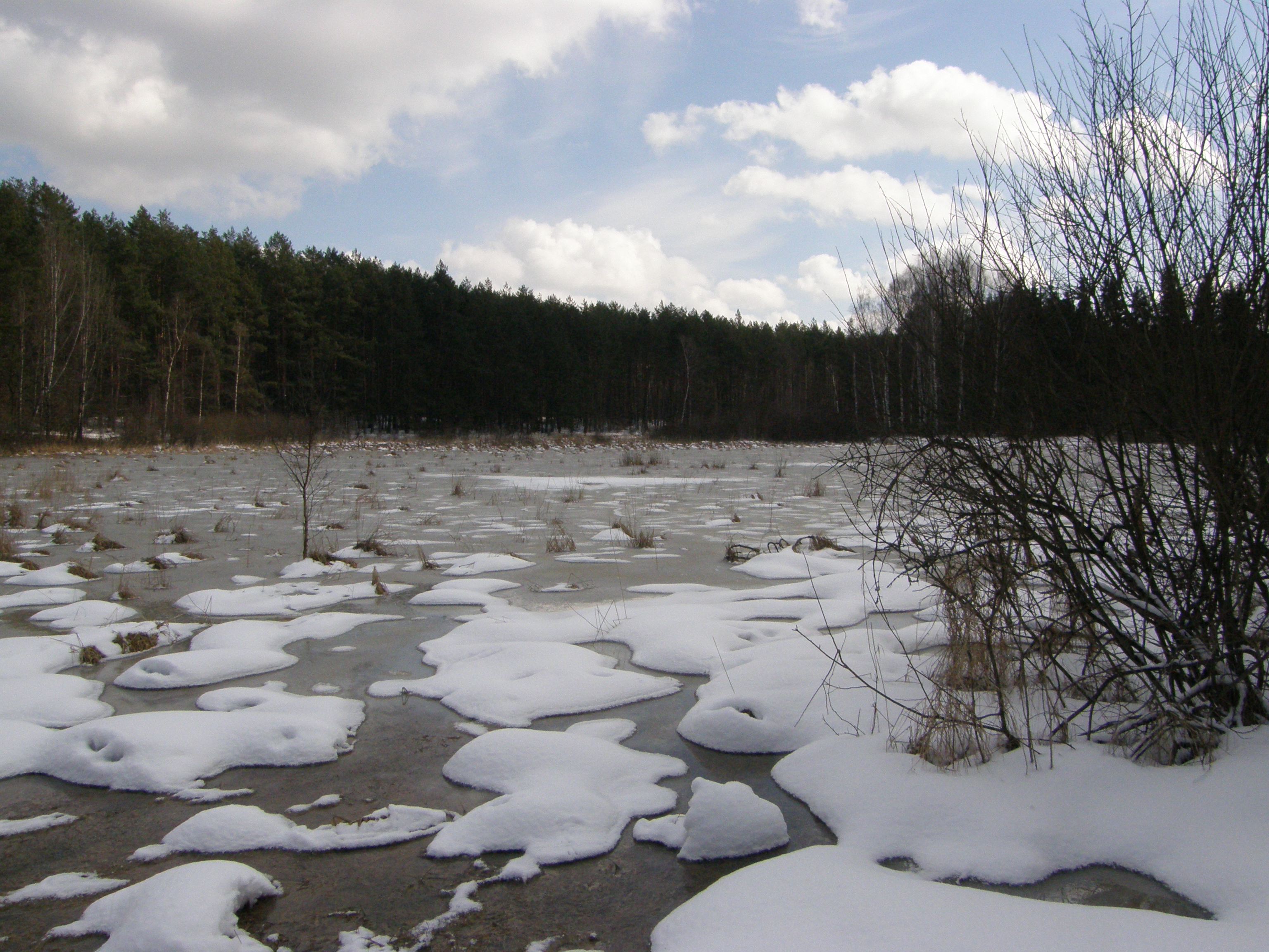  Fot. 1. Zalana dolina Wieprza w okresie wiosennych podtopień.