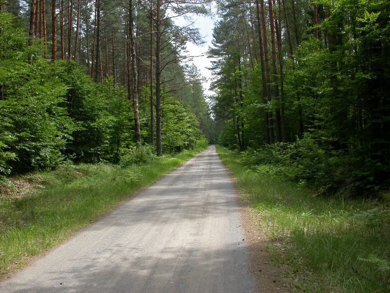 Fot. 1. Fragment trasy rowerowej do Florianki.