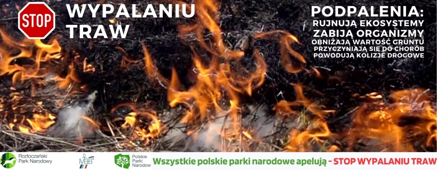OGIEŃ NISZCZY I ZABIJA