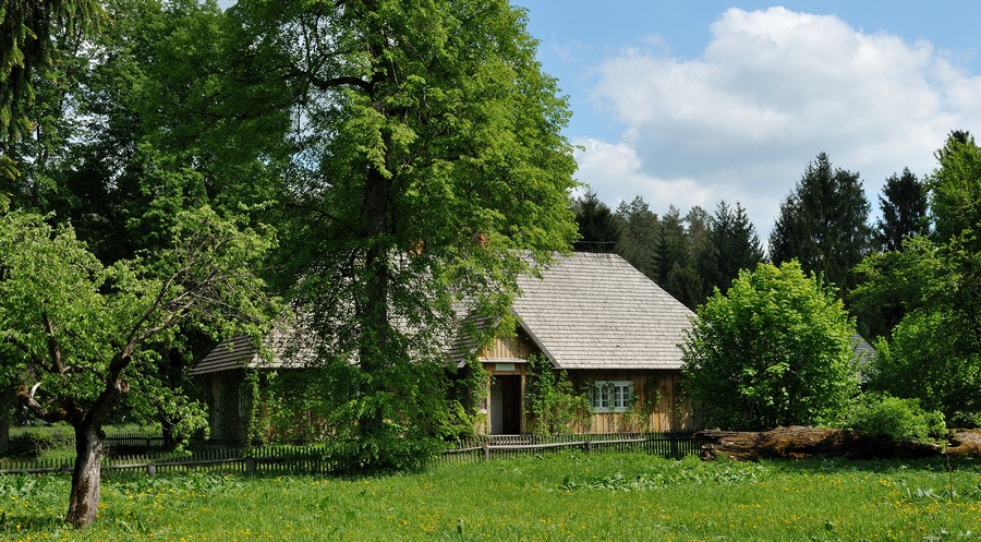 Fot. 1. Izba Leśna we Floriance.