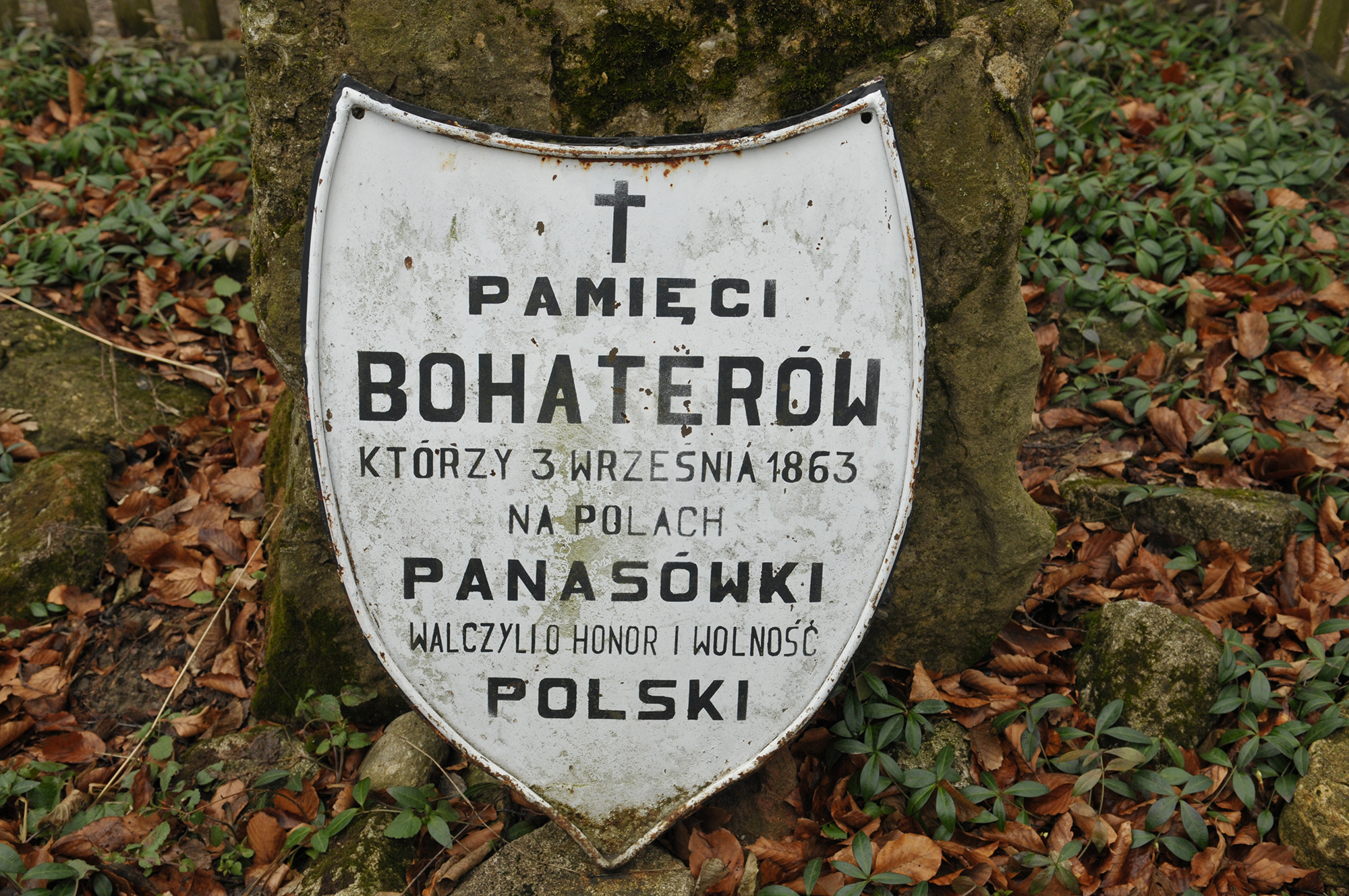 Fot. 2. Tablica pamiątkowa przy pomniku powstańców styczniowych na Wzgórzu Polak.  